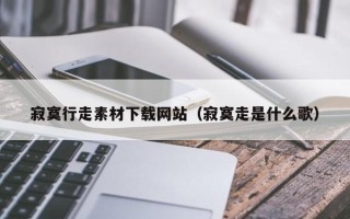 中卫寂寞行走素材下载网站（寂寞走是什么歌）